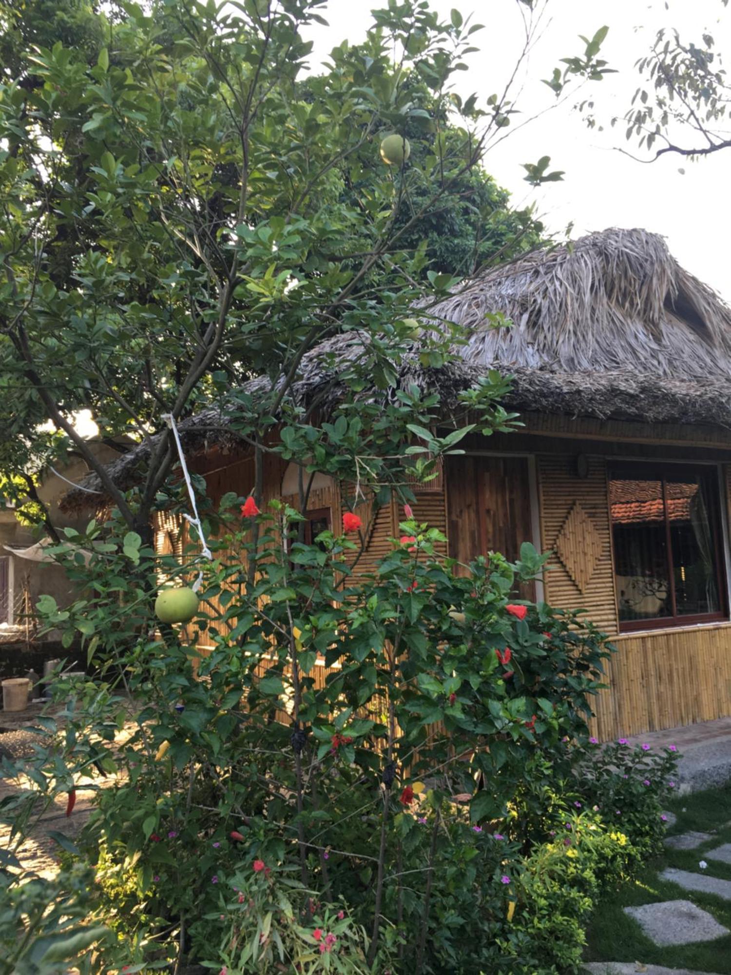 Willa Tam Coc Palm House Ninh Binh Zewnętrze zdjęcie